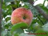 c5fbf47df9be9026a1.jpg