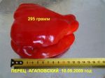09870d28fe1e.jpg