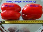 e915d6baad1f~0.jpg