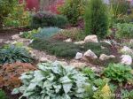 DSC06820.JPG